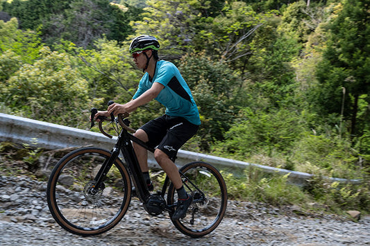 ロード レックス i 6180 E-BIKE「VRI61532」65